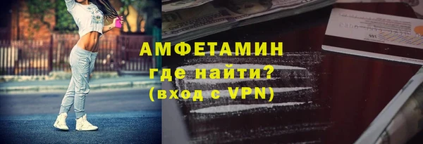 прущие грибы Балабаново