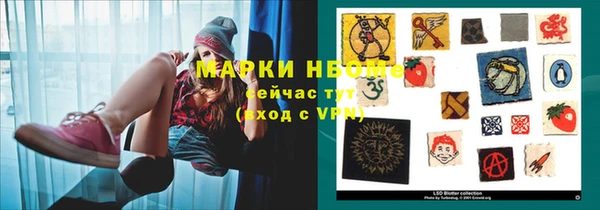 прущие грибы Балабаново