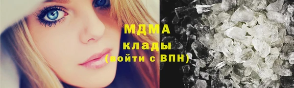 прущие грибы Балабаново